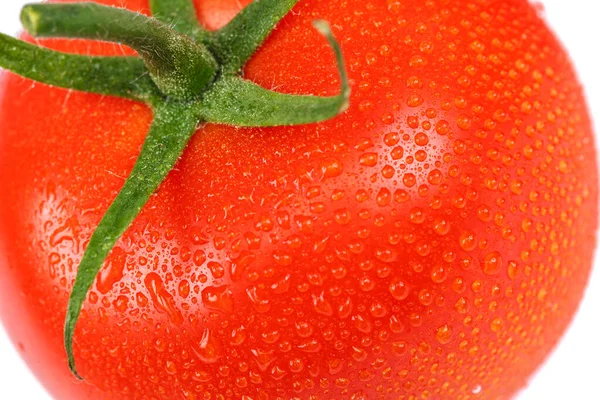 Tuoreet punaiset tomaatit eristetty valkoisella pohjalla — kuvapankkivalokuva