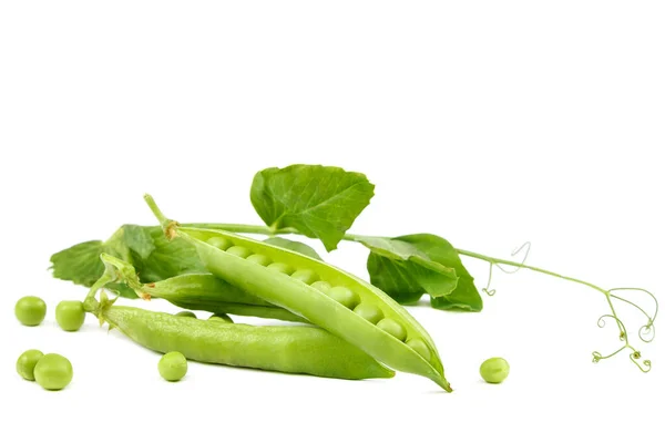 Fruits of green peas on white background. — Stock Photo, Image