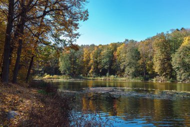 Açık güneşli bir sonbaharda Orman Gölü.