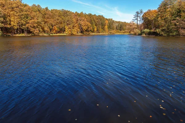 Forest Lake Autumn Clear Sunny Day — Stock Photo, Image