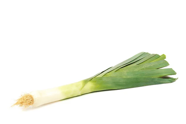 Fresh Leek Onion Isolated White Background — Stock Photo, Image