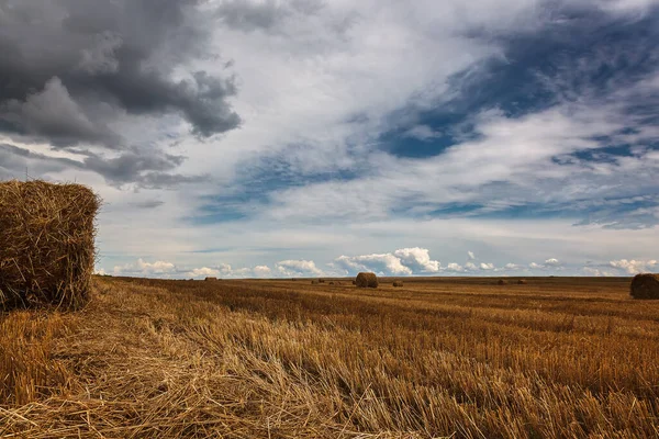 Урожай Пшеничного Поля Соломенными Роликами Против Бушующего Неба — стоковое фото