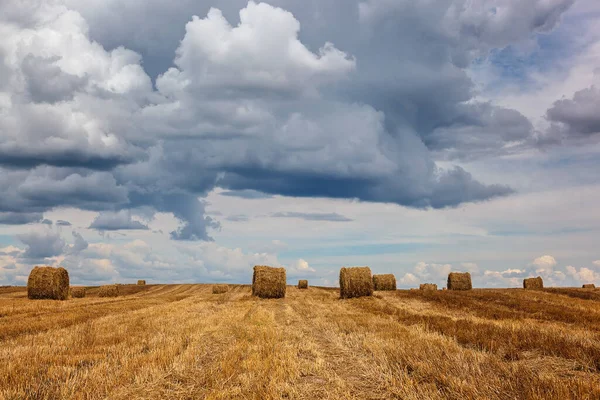 Champ Blé Récolté Avec Des Rouleaux Paille Contre Ciel Orageux — Photo