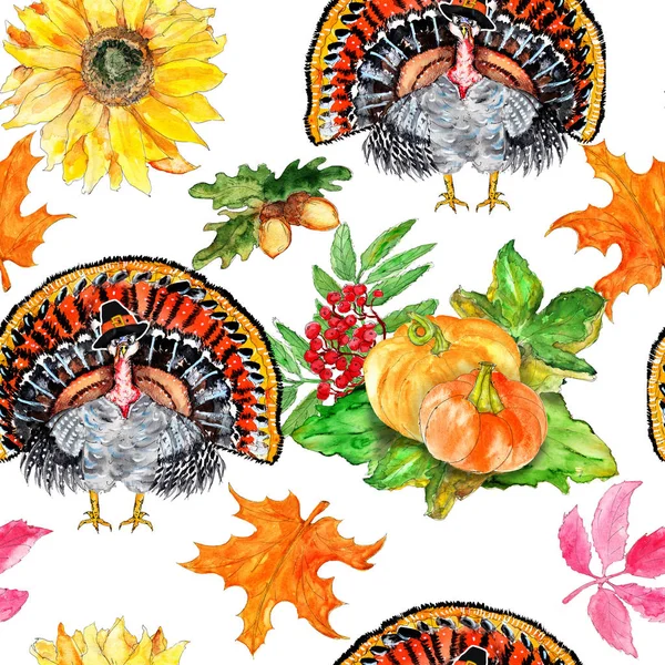Suluboya Sanatsal Renkli Hasat Şükran Sonbahar Hindi Kuş Vintage Dikişsiz — Stok fotoğraf