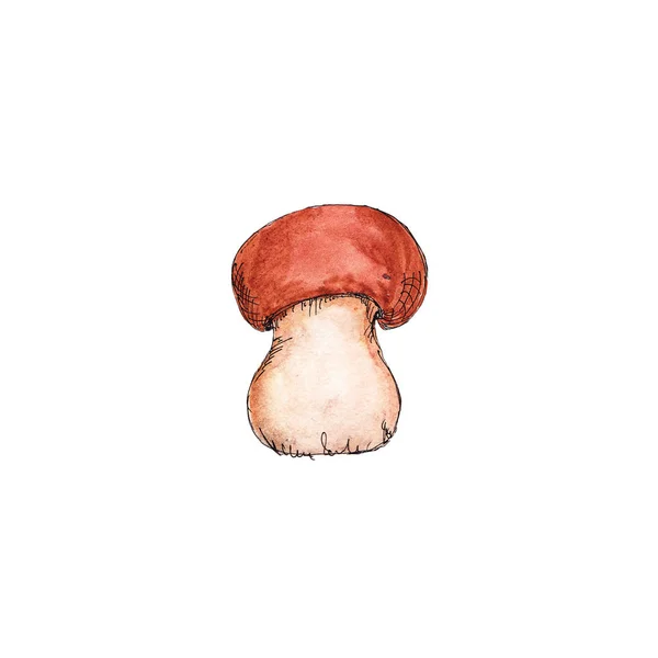 Watercolor Tangan Digambar Artistik Warna Warni Mushrooms Musim Gugur Ikon — Stok Foto