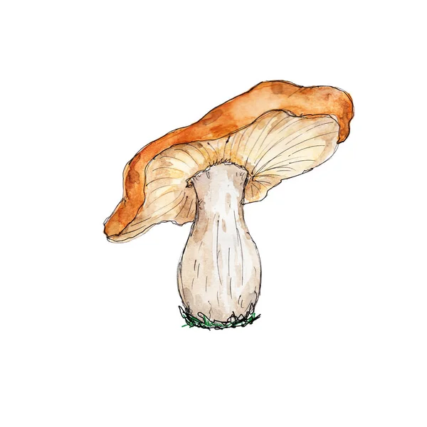 Watercolor Tangan Digambar Artistik Warna Warni Mushrooms Musim Gugur Ikon — Stok Foto