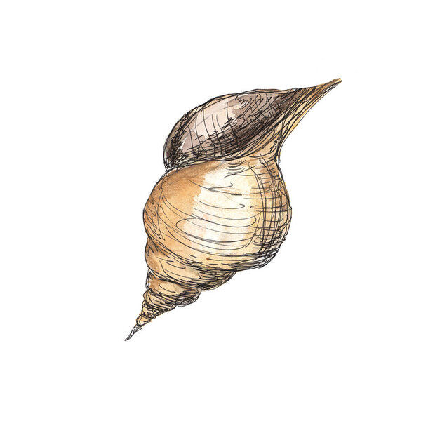 Ocean life  watercolor icons isolated on white background