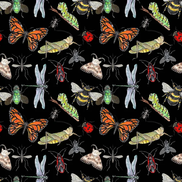 수채화를 손으로 색깔의 곤충들 무늬를 수집하는 — 스톡 사진