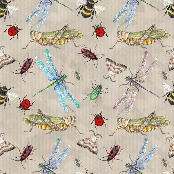 Suluboya Çizimi Sanatsal Renkli Böcekler Koleksiyonu Kusursuz Desen — Stok fotoğraf