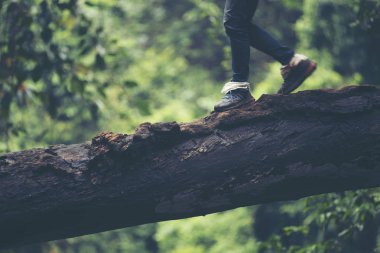 Köprüde nehir seyahat yaşam tarzı kavramı orman üzerinde arka plan yaz yolculuk tatile açık hiking sırt çantası ile kadın Traveler