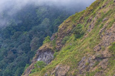Kuş gözü görünümü tropikal ormanda Tayland