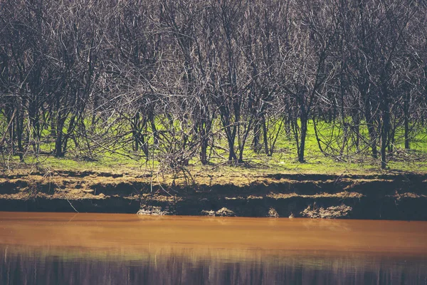 Del Vatten Sjö Tropiska Naturliga Fält — Stockfoto