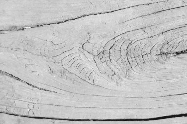 hafif ahşap doku, arka plan