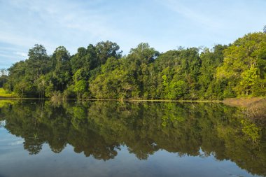 Tropik orman su gölü