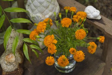 Ahşap arkaplanda çiçekler