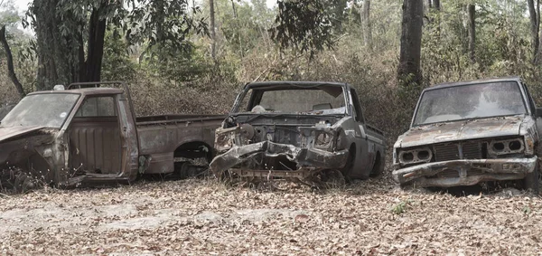 Old Rusty Cars Forest — Zdjęcie stockowe