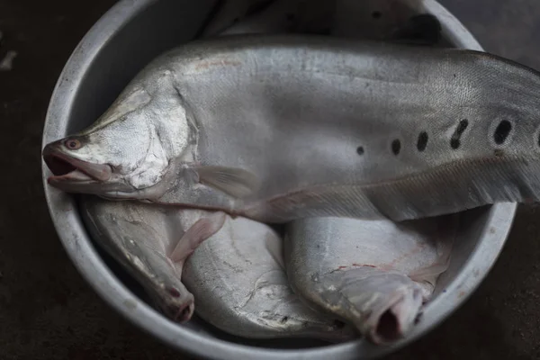 Frischer Fisch Auf Dem Laotischen Markt — Stockfoto