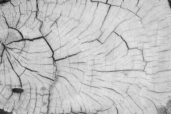 hafif ahşap doku, arka plan