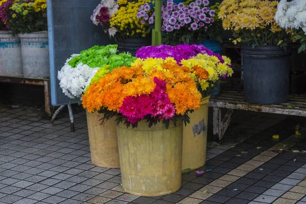 Les Plantes Tropicales Fleur — Photo