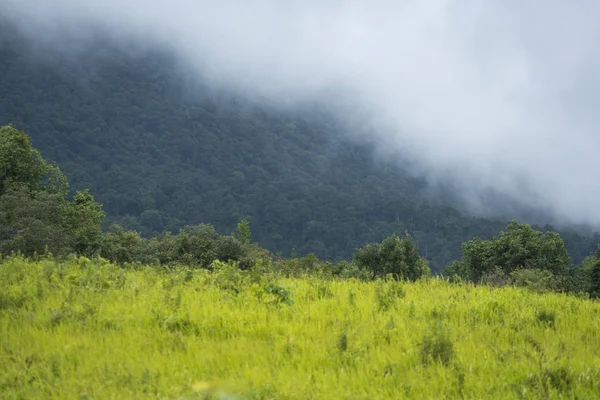 Vista Recurso Natural Floresta Tropical Parque Nacional Khao Yai Tailândia — Fotografia de Stock