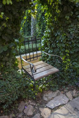 Bitkilerle kaplı duvarlar