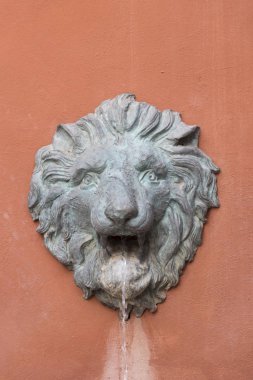 lion decoration of traditional Italian house