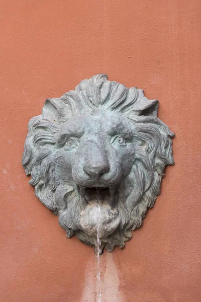 Lion Decoration Traditional Italian House — Stock Fotó