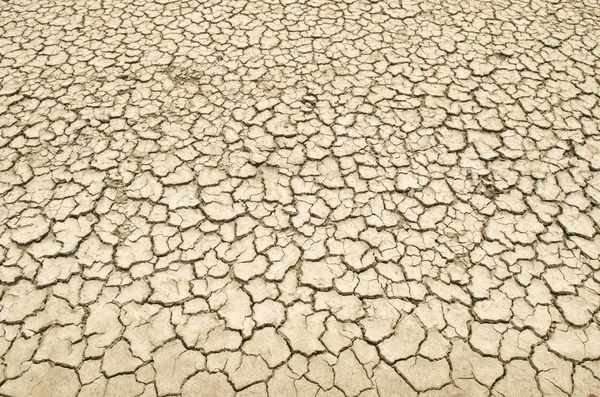 Fondo Seco Tierra Agrietada Textura Del Desierto Arcilla — Foto de Stock