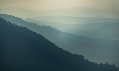 tropikal orman manzara günbatımı manzarası