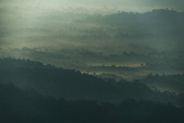 tropikal orman manzara günbatımı manzarası