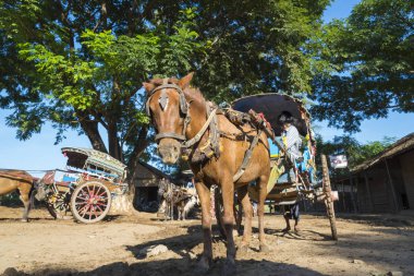 Bagan/Myanmar - Ekim 2015 - Landau bulundu ve Bagan ayarlanabilir. 2 Ekim 2015 Bagan, Myanmar.