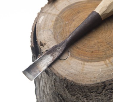 keski ve ağaç beyaz zemin üzerine izole parçası