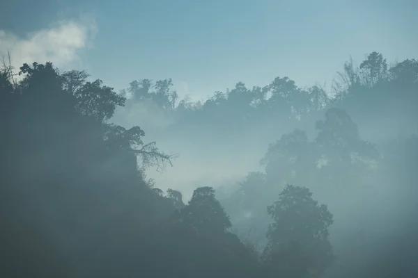 Vista Los Recursos Naturales Selva Tropical Parque Nacional Khao Yai — Foto de Stock