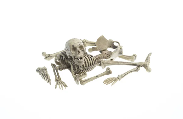 Mini Mänskliga Skelett Modell — Stockfoto