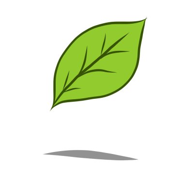 Beyaz arkaplanda yeşil yaprak simgesi