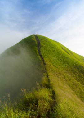 landscape with green grassy hill