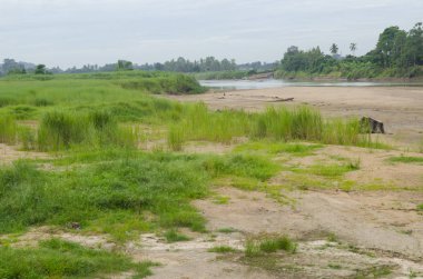 Dere taşların üzerinden akıyor.