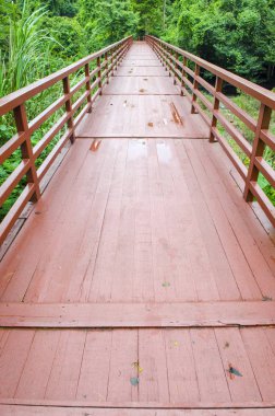 Tayland 'daki Khao Yai Ulusal Parkı' ndaki tropikal ormana giden köprü.