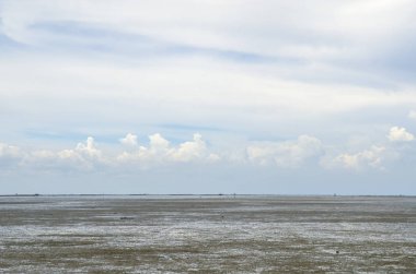 Tayland 'daki engin çamurlu plaj..