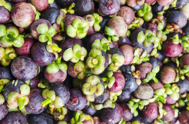 Piyasaya satılacak taze mangolar.