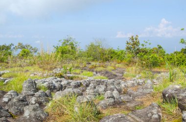 LAN Hin Taek Phu Hin Rong Kla Milli Park Tayland