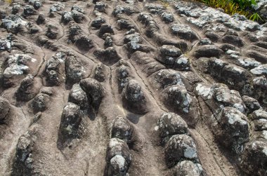 LAN Hin Taek Phu Hin Rong Kla Milli Park Tayland