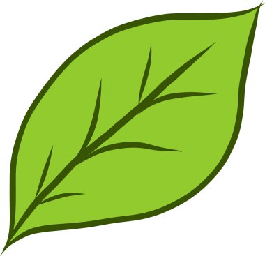 yeşil yaprak simgesi izole edildi