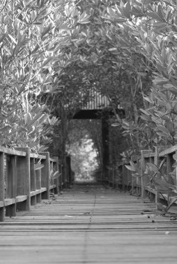 Dereler boyunca tahta tahtalar, siyah ve beyaz.