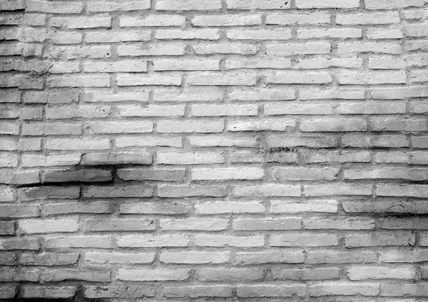 Biały Grunge Cegły Ściany Tło — Zdjęcie stockowe