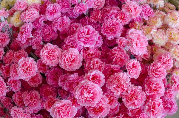 Весільний Букет Трояндовим Кущем Ранункулус Абікус Фон — стокове фото