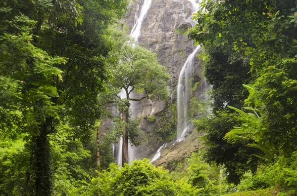 Beautiful Waterfall Tropical Forest Thailand — 스톡 사진