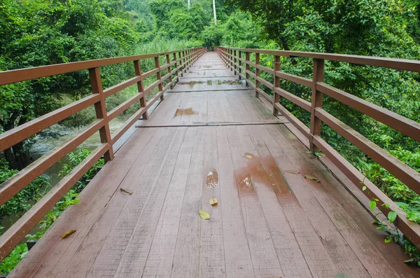 Γέφυρα Πάνω Από Τον Καταρράκτη Στο Δάσος — Φωτογραφία Αρχείου