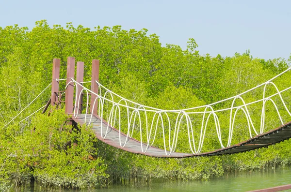 Puente Colgante Bosque Manglares Sitio Tropical — Foto de Stock