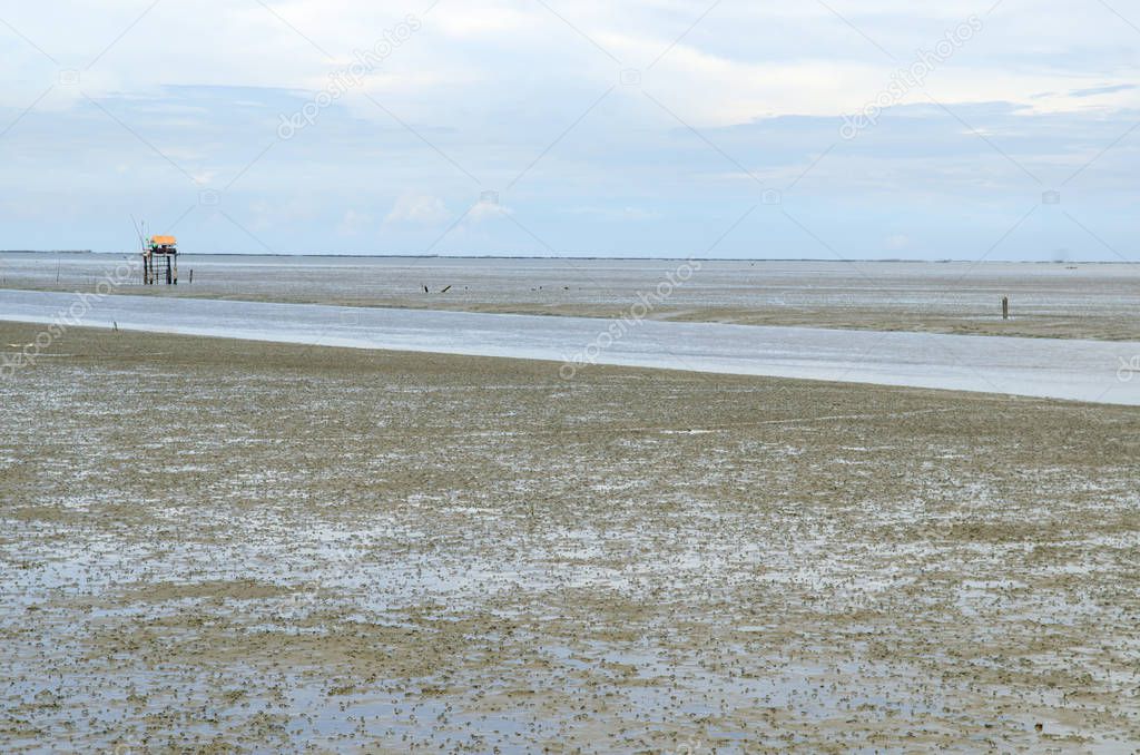 The vast muddy beach in Thailand.